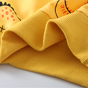 toddler boy clothes 1t 2t 3t 4t 5t outfits set winter fall spring children's clothing