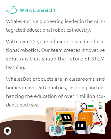 Pubbo Air – An Interactive Robot for Gamified Education