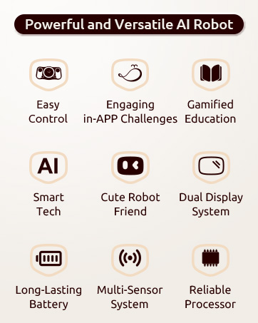 Pubbo Air – An Interactive Robot for Gamified Education