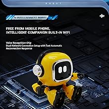 INTELLIGENT COMPANION BUILT-IN WIFI