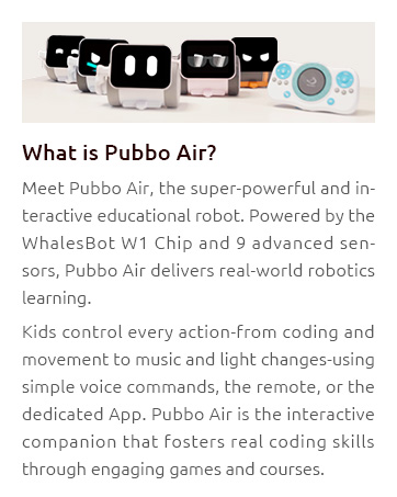 Pubbo Air – An Interactive Robot for Gamified Education