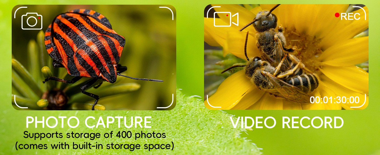 pocket microscope for kids