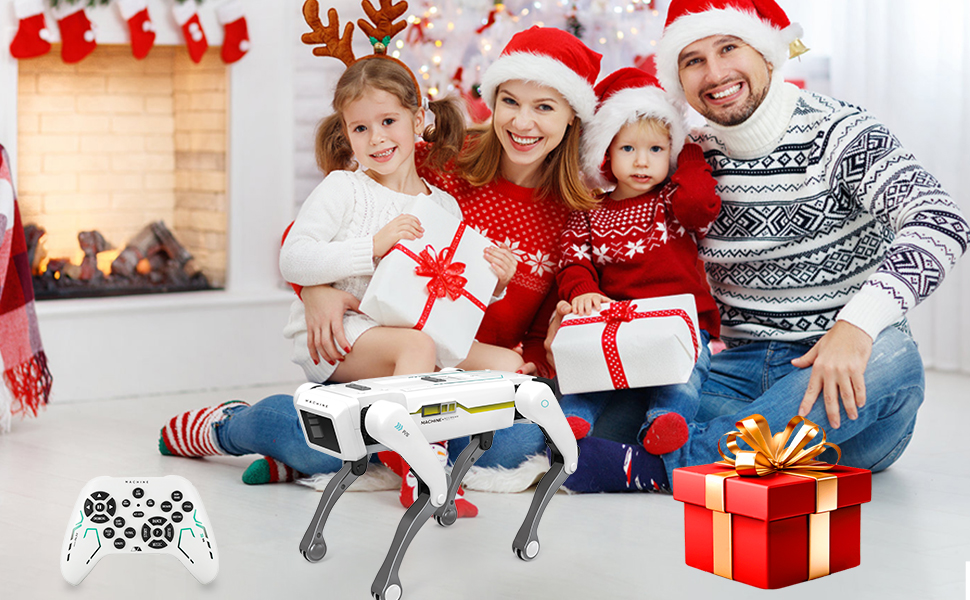 birthday gift for boys girls